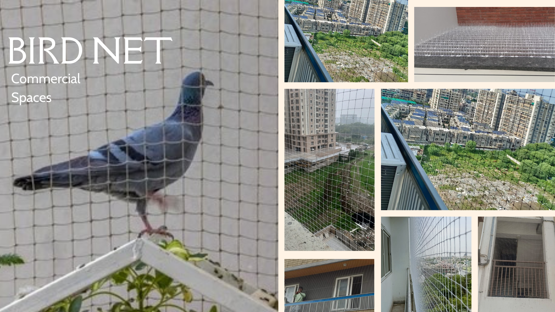 Bird spikes and net image